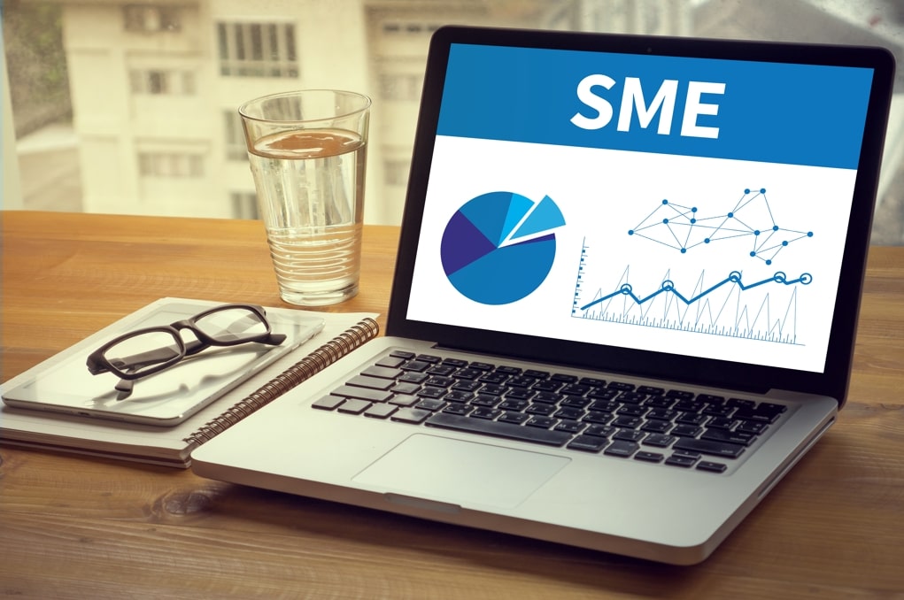 SME Businesses: Thriving Through Agility and Innovation